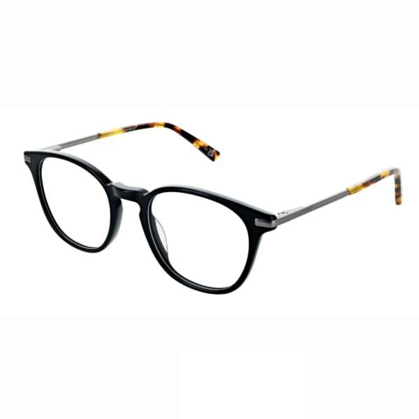 Black with brushed silver metal DESIGNER frame (SPRING SIDES) + FILTER INCLUDED, SIZE: 50-20 MODEL: ZTH104