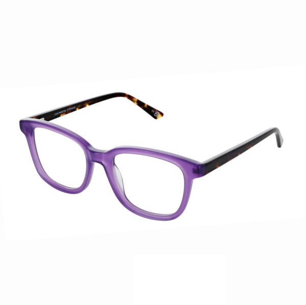 Purple Plastic DESIGNER frame + FILTER INCLUDED, SIZE: 50-19, MODEL: ZTH113