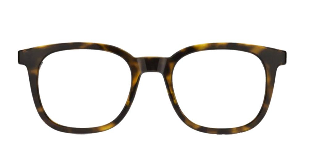 Brown Havana HUGO frame + FILTER INCLUDED,  MODEL: HG1315,  SIZE: 50-20