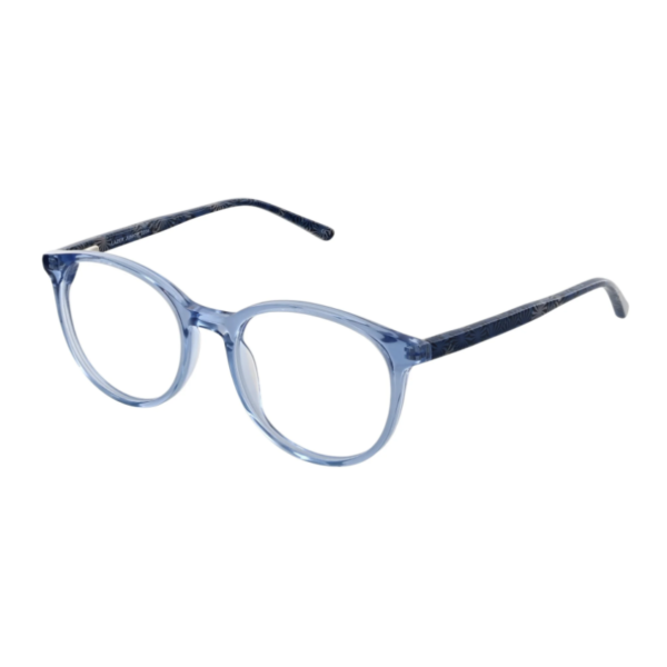 Crystal Blue/Dark Blue plastic frame (SPRING SIDES) + FILTER INCLUDED, MODEL: LZRJR2204 SIZE: 47-17