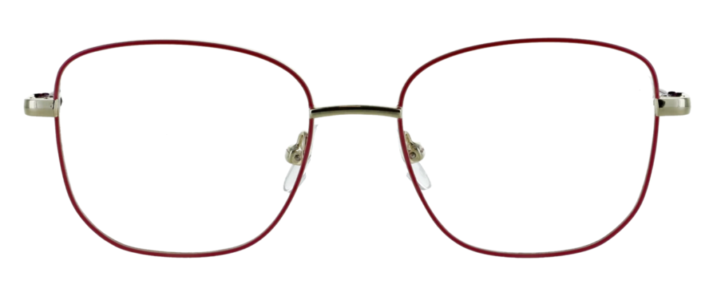 Red metal frame +  FILTER INCLUDED, MODEL: LZR2242, SIZE: 47-16