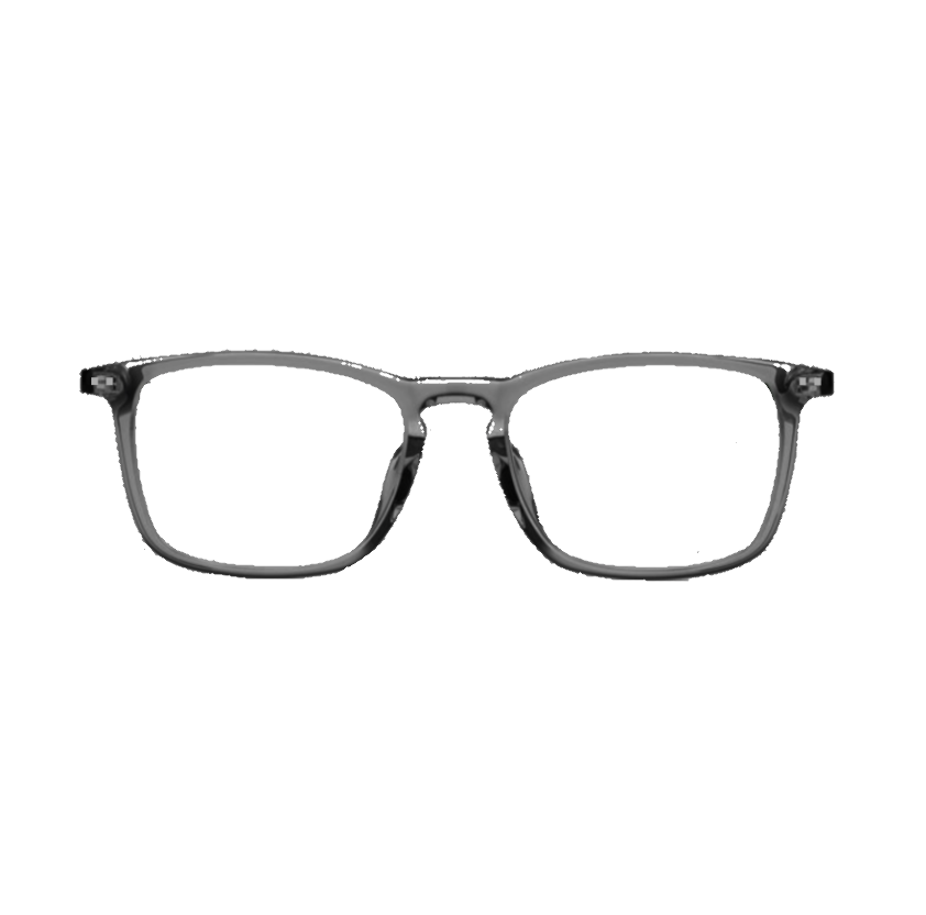 Crystal Grey with Tortoiseshell Plastic frames (SPRING SIDES) + FILTER INCLUDED, MODEL: LZRJR2226, SIZE: 49-17